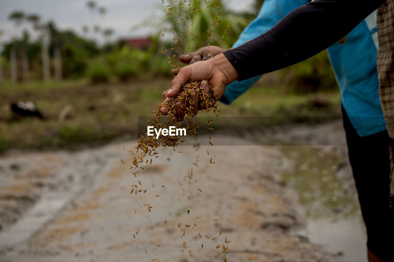 Close-up of hands planting seeds