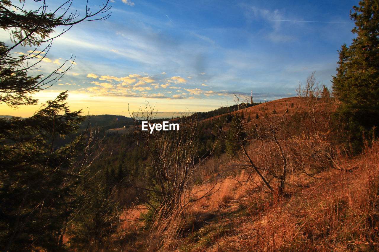 SCENIC VIEW OF LAND AGAINST SKY