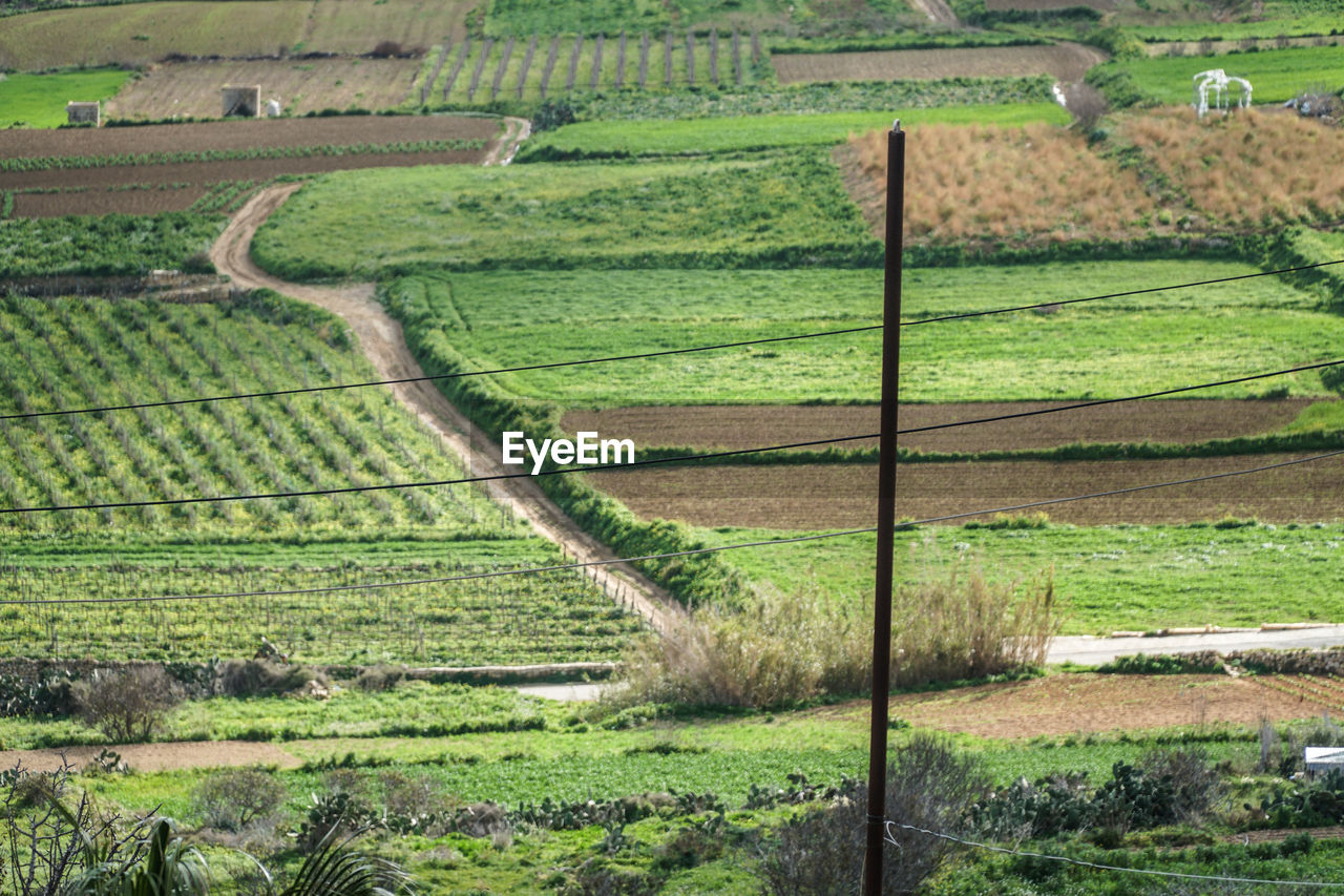 Scenic view of agricultural field
