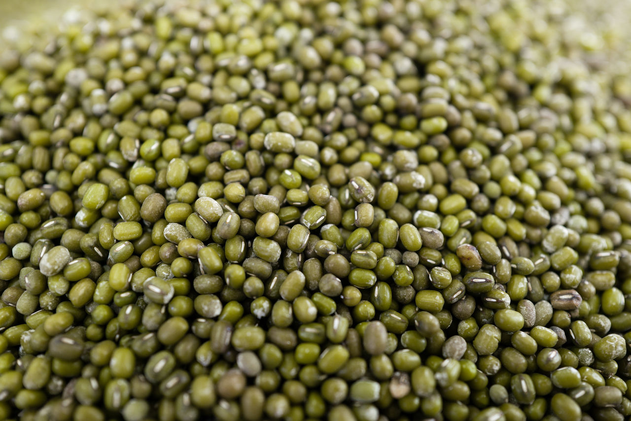 crop, food and drink, agriculture, food, freshness, plant, backgrounds, healthy eating, no people, abundance, close-up, wellbeing, large group of objects, full frame, produce, still life, seed, vegetable, selective focus, raw food, green, indoors, nature