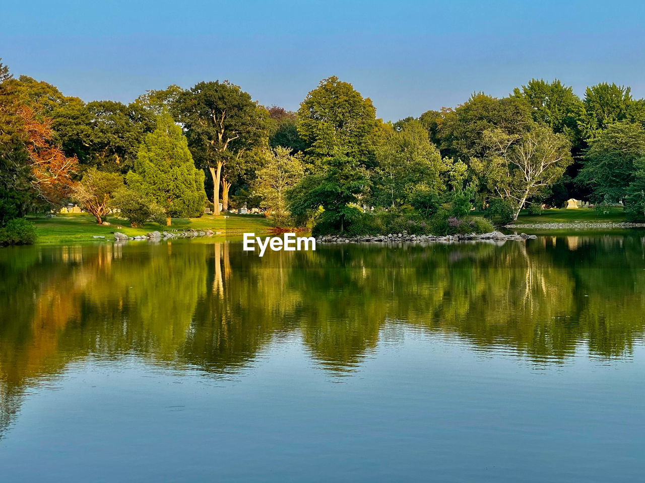 water, reflection, tree, lake, plant, beauty in nature, nature, tranquility, leaf, scenics - nature, autumn, tranquil scene, sky, no people, landscape, body of water, green, environment, non-urban scene, forest, idyllic, outdoors, travel destinations, reservoir, land, day, clear sky, blue, travel, tourism