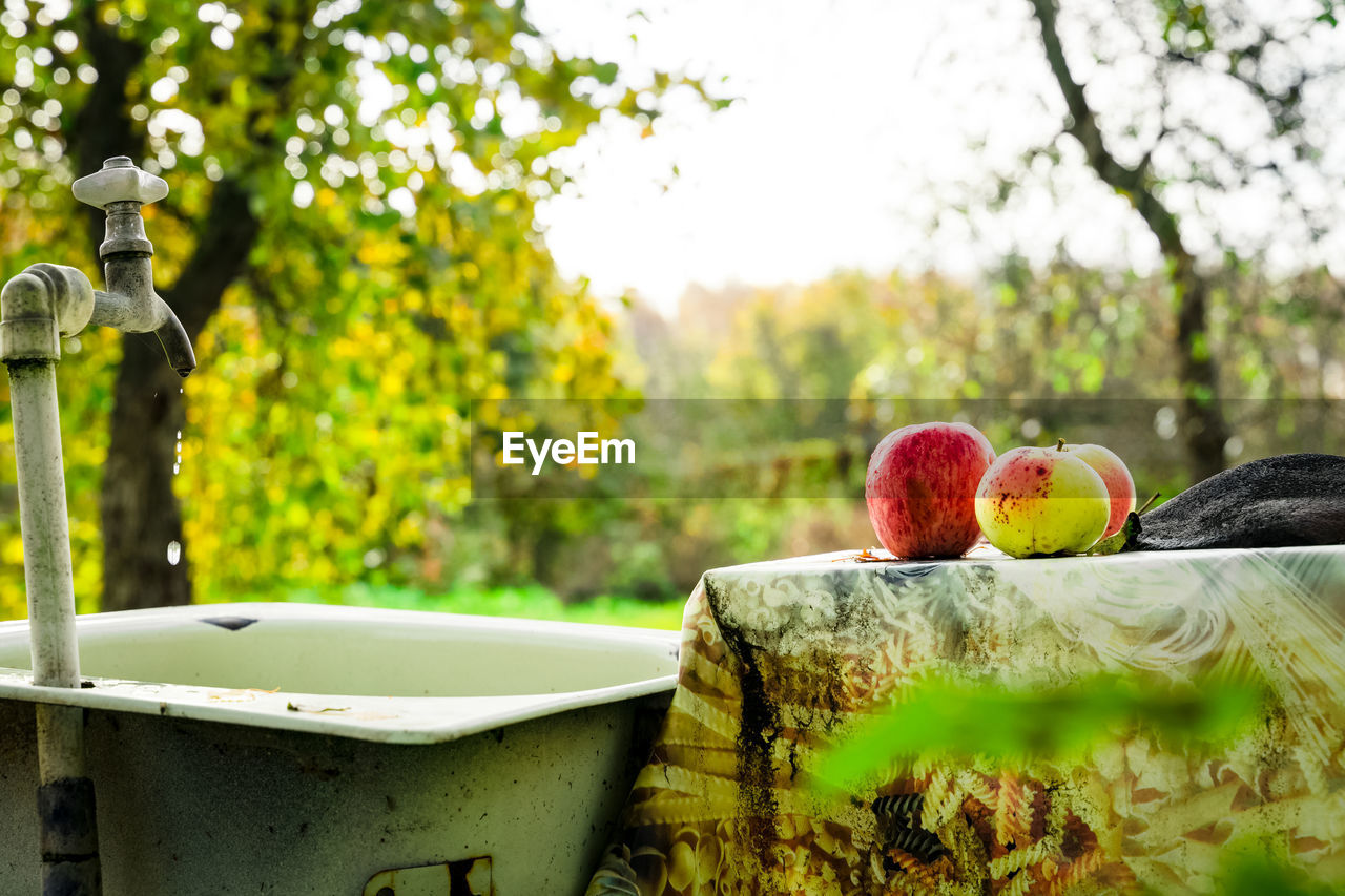 Outdoor garden sink and table with apples