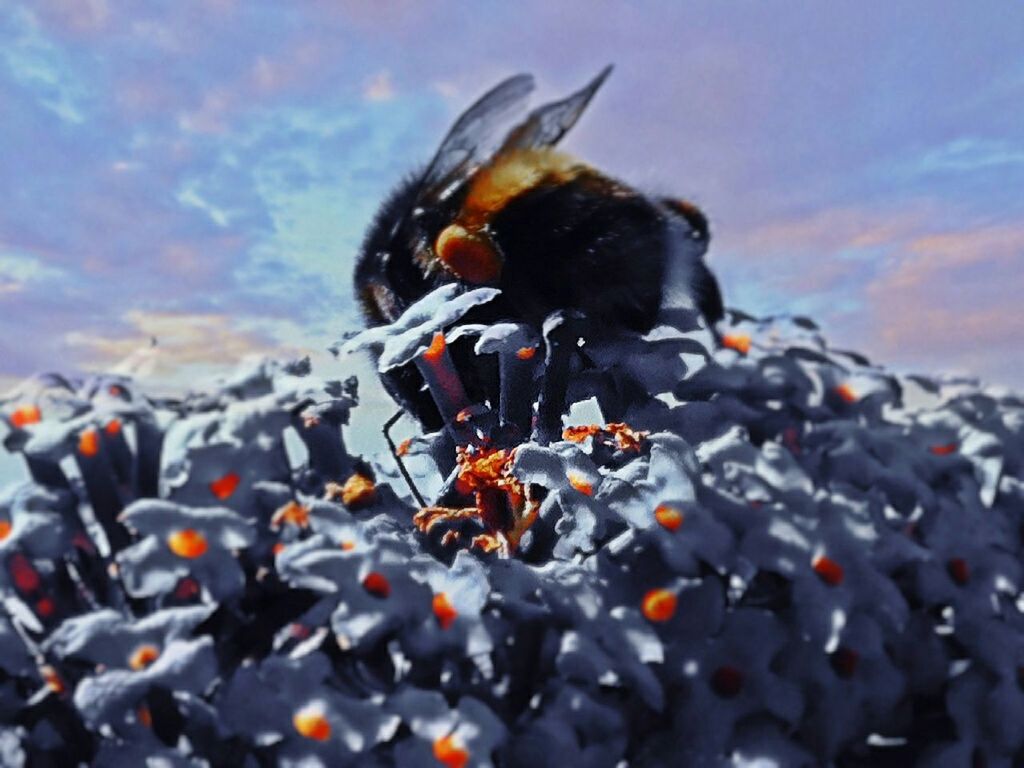 CLOSE UP OF BIRD ON TREE STUMP