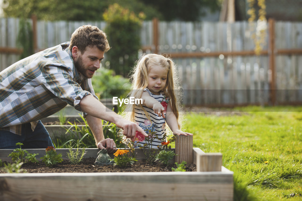 Father and daughter pointing on plant growing in raised bed