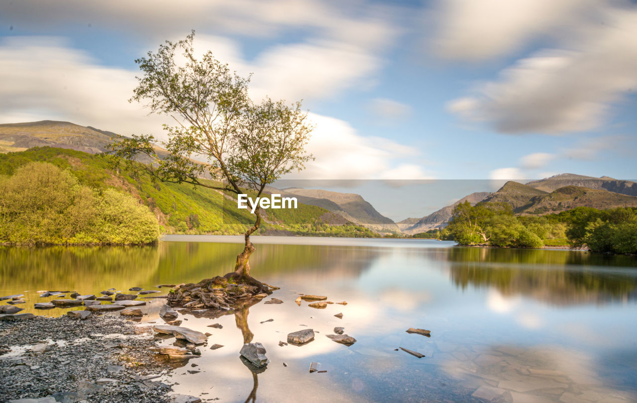 Scenic view of lake by trees against sky