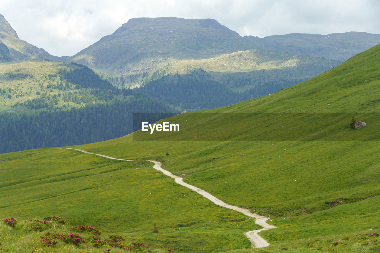 SCENIC VIEW OF GREEN LANDSCAPE AGAINST SKY