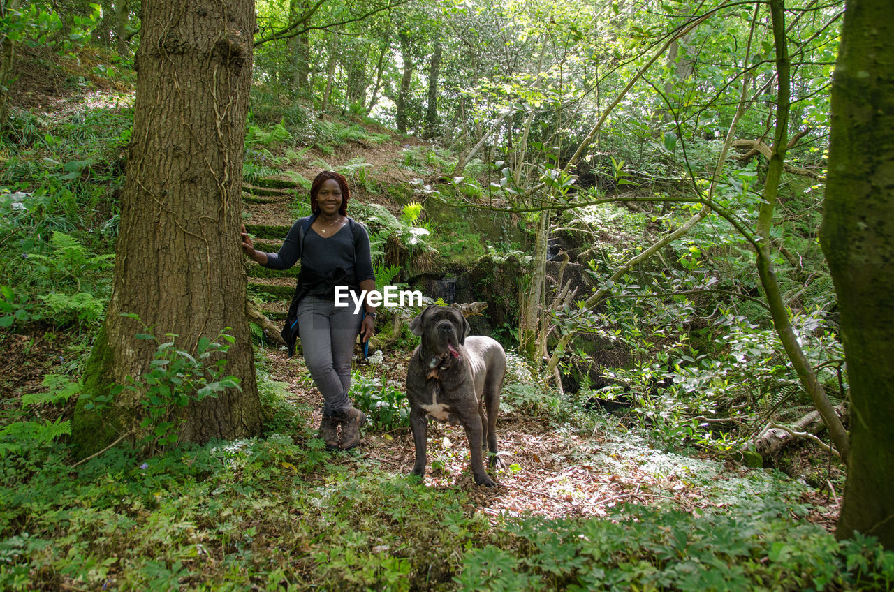 Portrait of woman with neapolitan mastiff standing by tree at forest