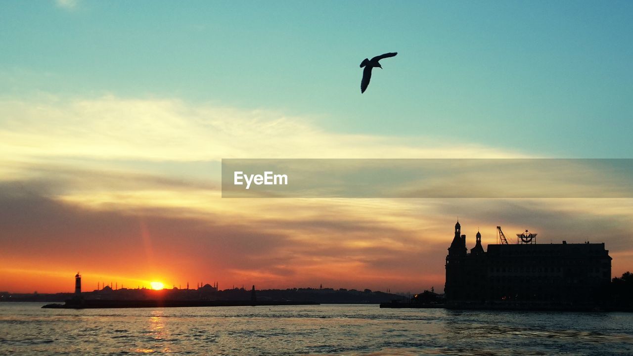 Bird flying over sea against sky during sunset