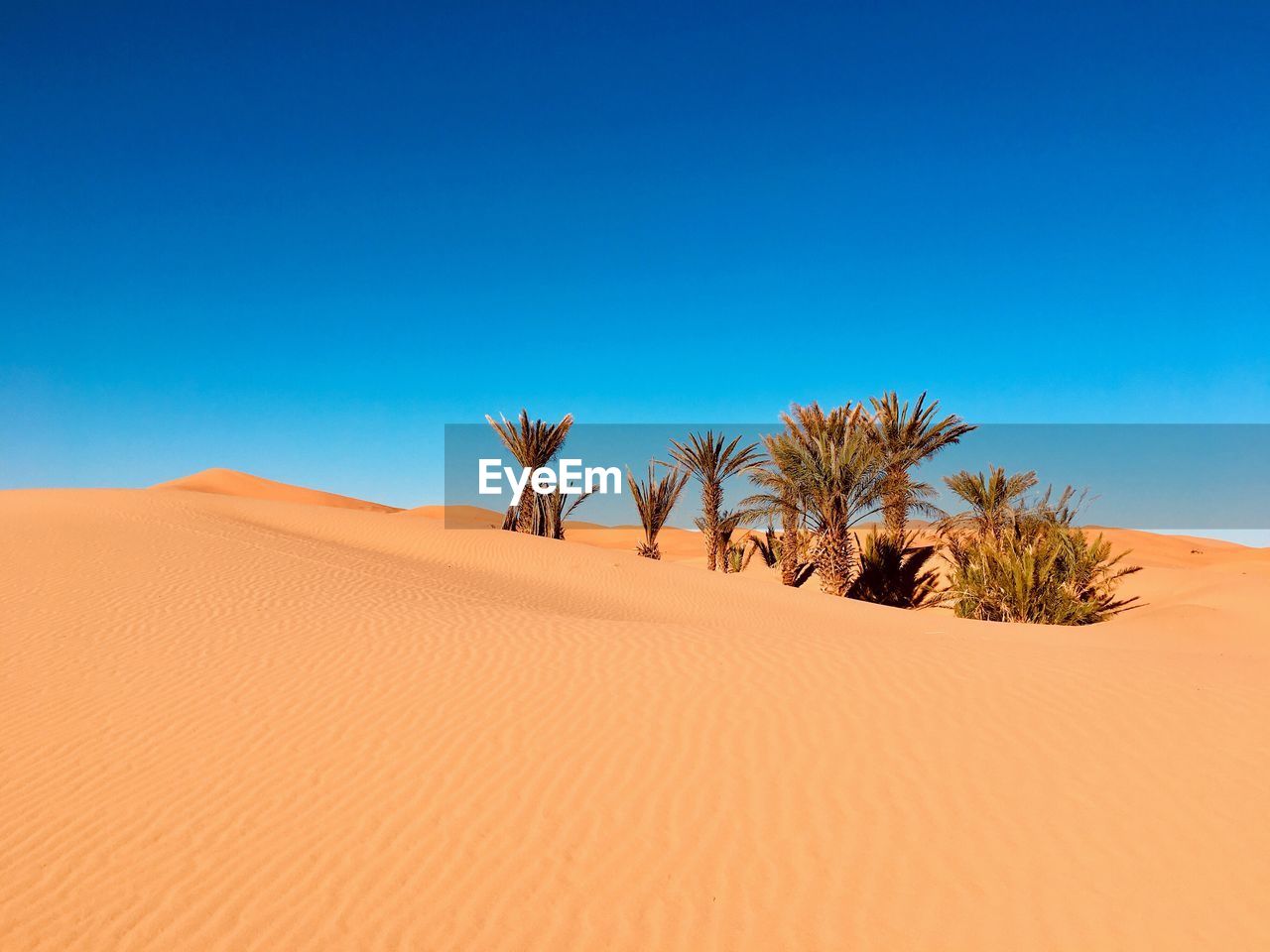 Scenic view of desert against clear blue sky