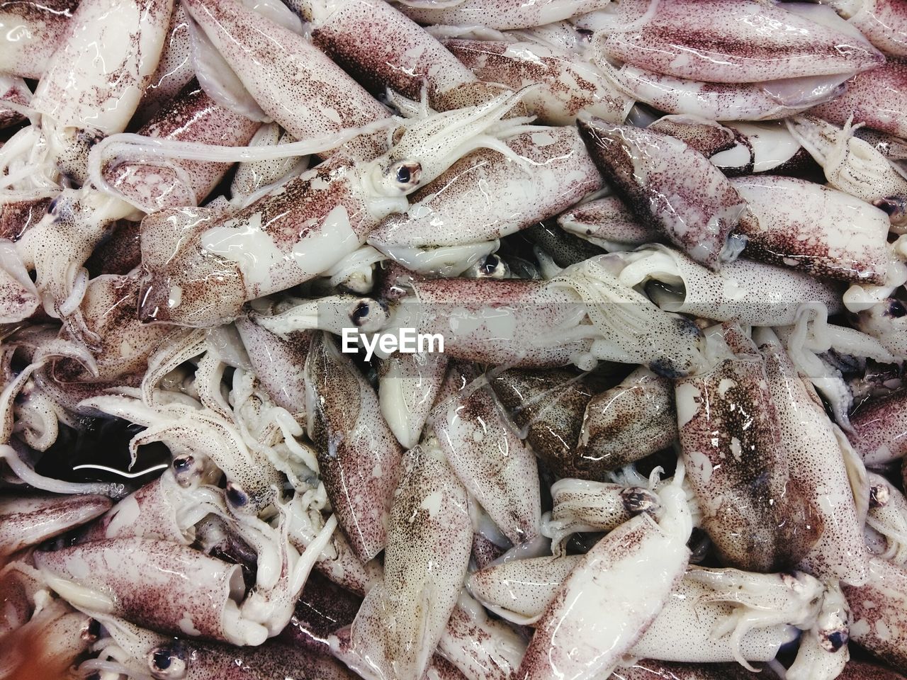 Full frame shot of fishes at shop for sale