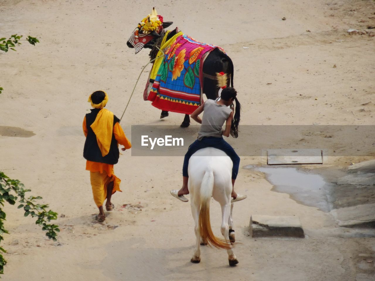 People riding horses on footpath