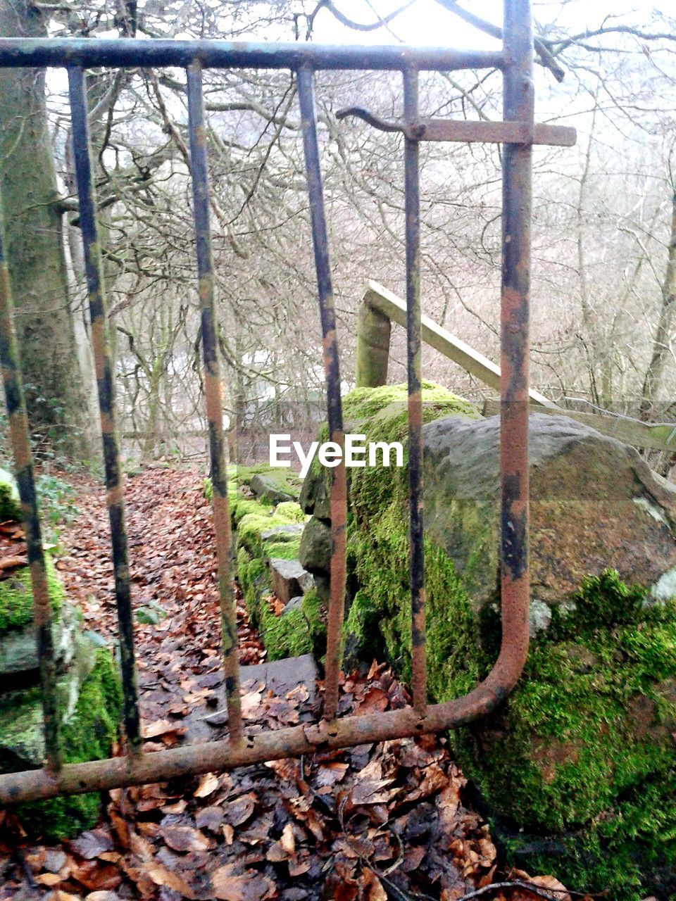 Close-up of rusty metallic gate by rocks