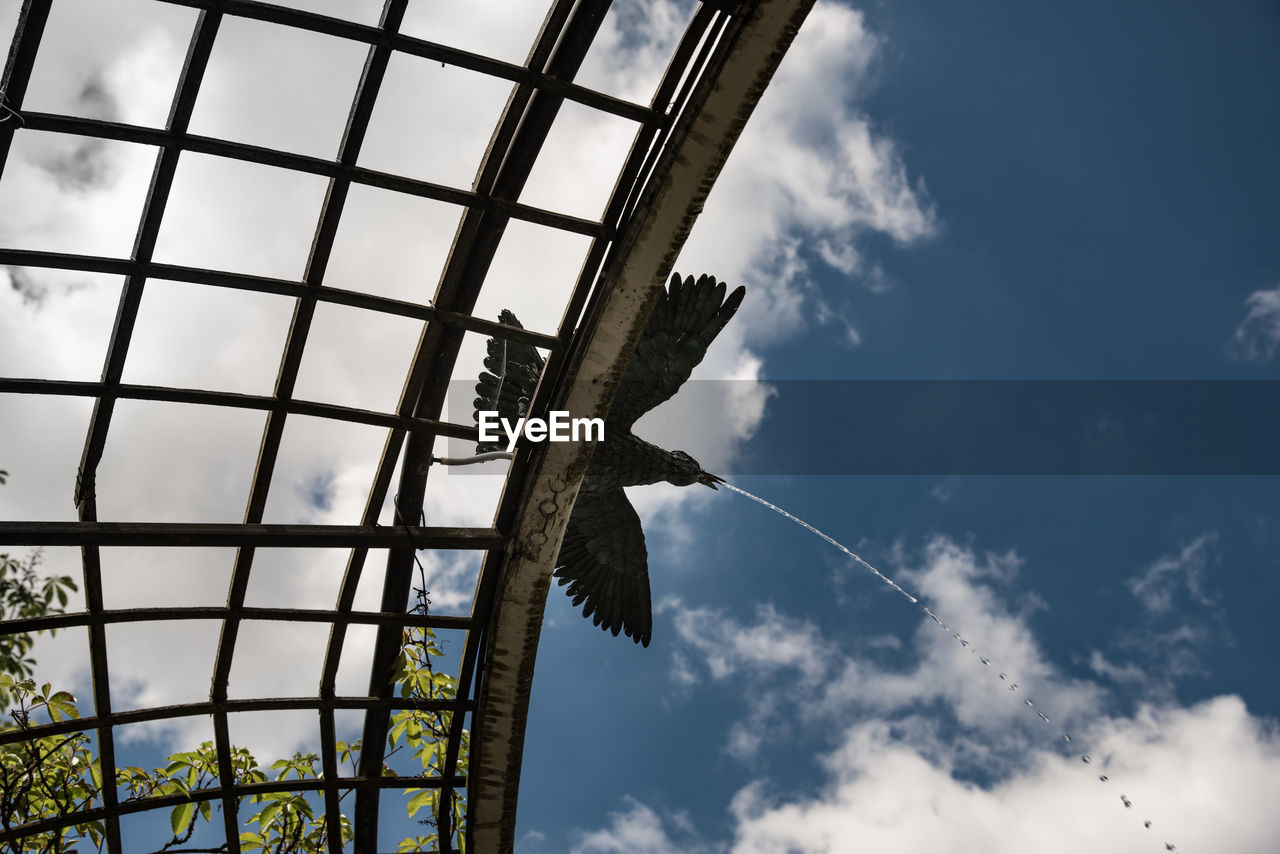 LOW ANGLE VIEW OF TREE AGAINST SKY