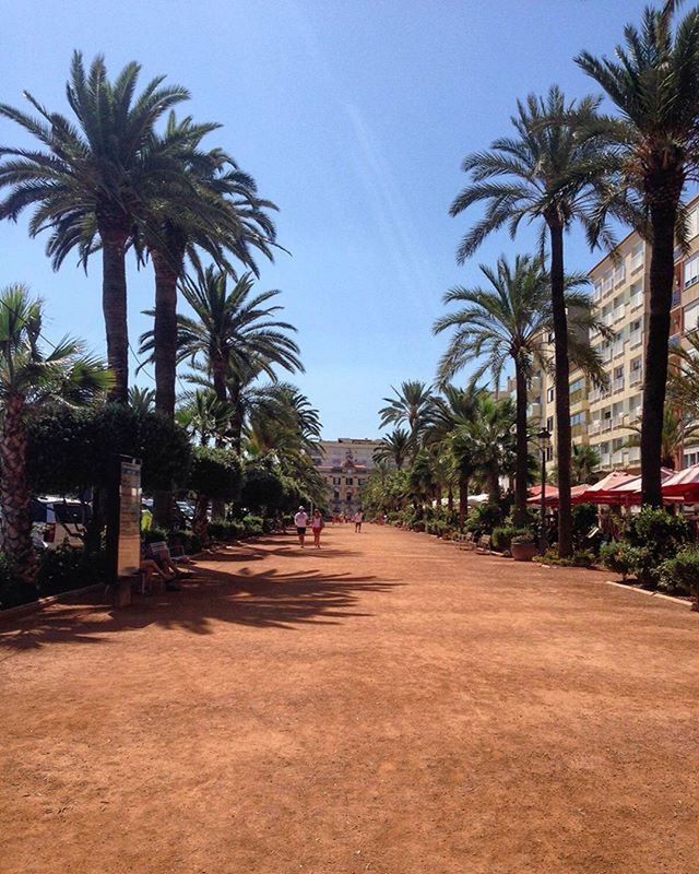 VIEW OF ROAD ALONG TREES