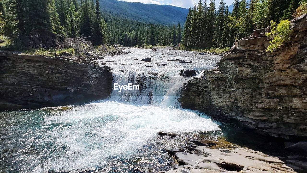 Scenic view of waterfall in forest