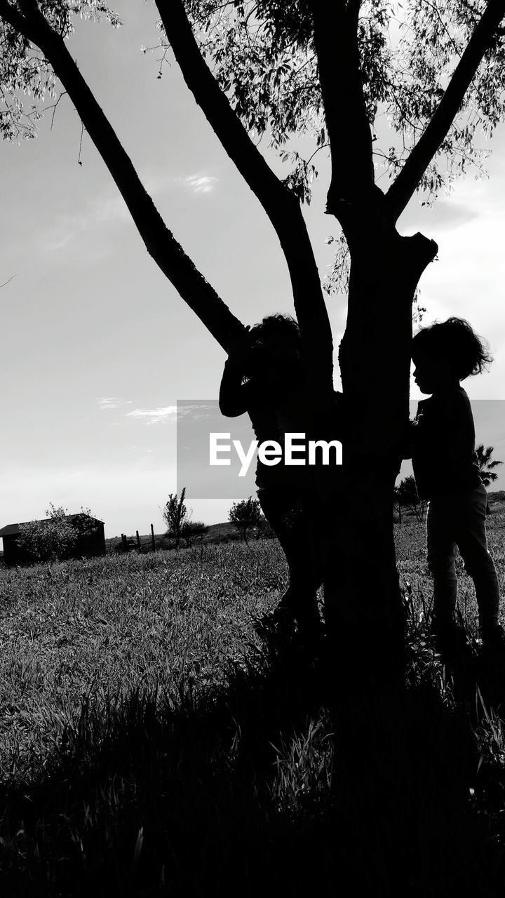 Silhouettes of children under tree