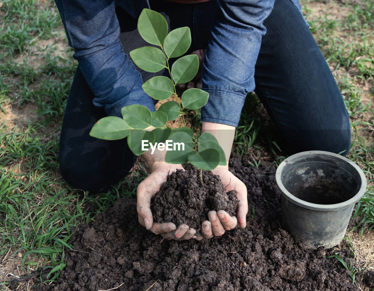 Close-up of man planting plant in park