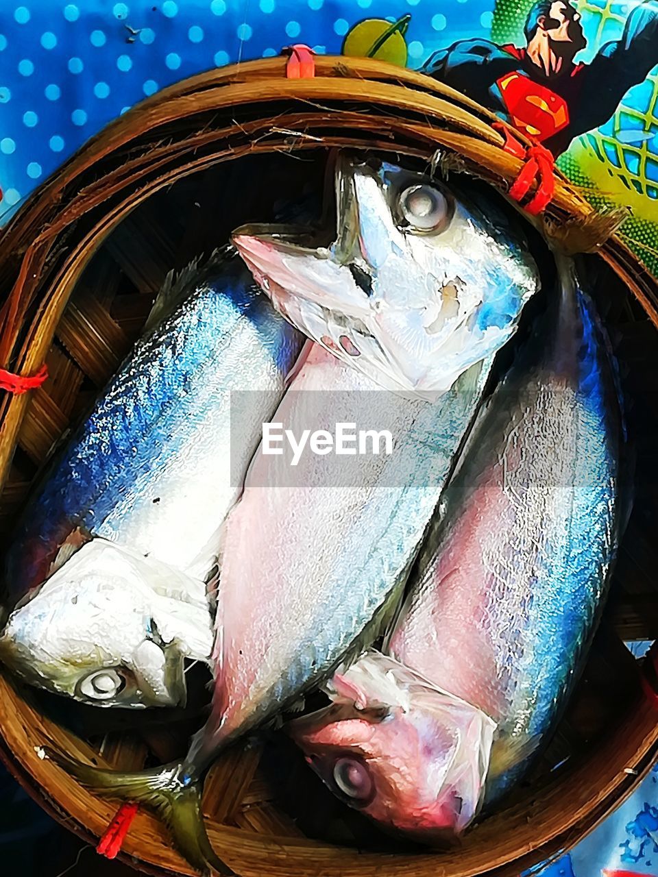 CLOSE-UP OF FISH FOR SALE AT MARKET STALL