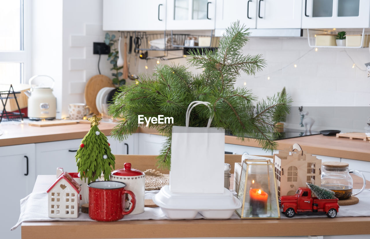 potted plant on table