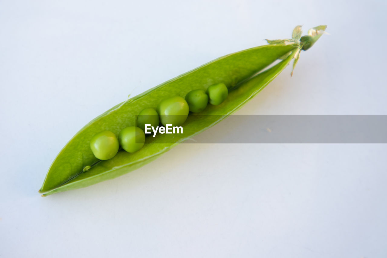 HIGH ANGLE VIEW OF GREEN VEGETABLES