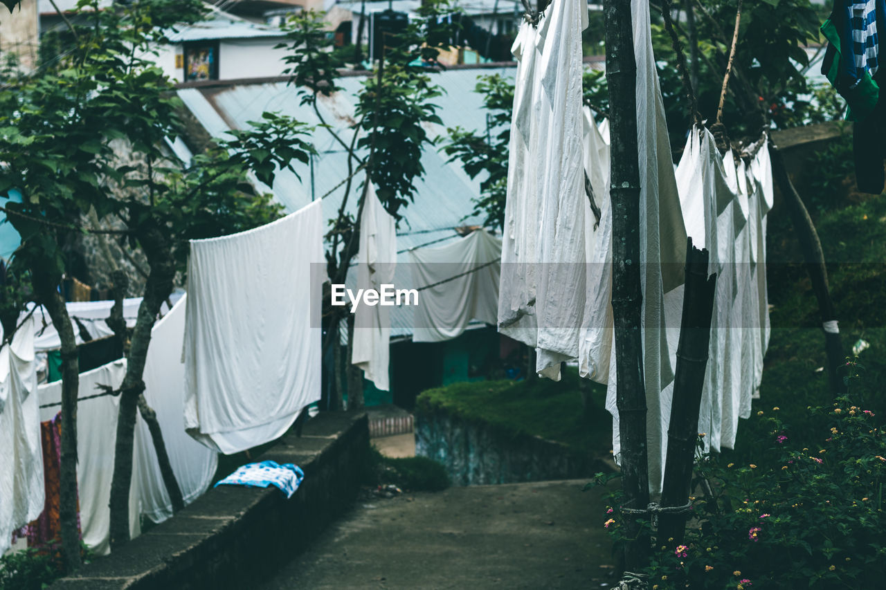 CLOTHES HANGING ON CLOTHESLINE