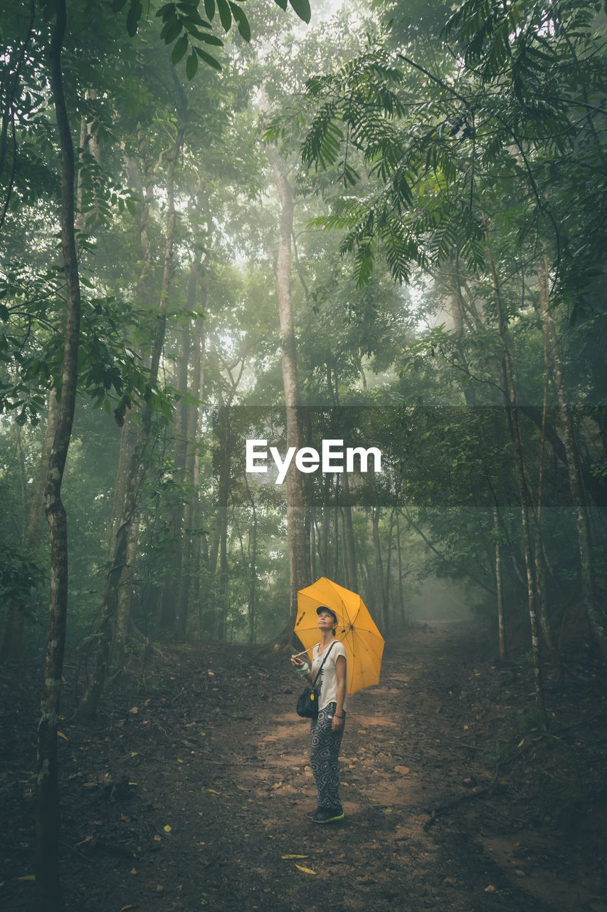 Woman with umbrella standing at forest