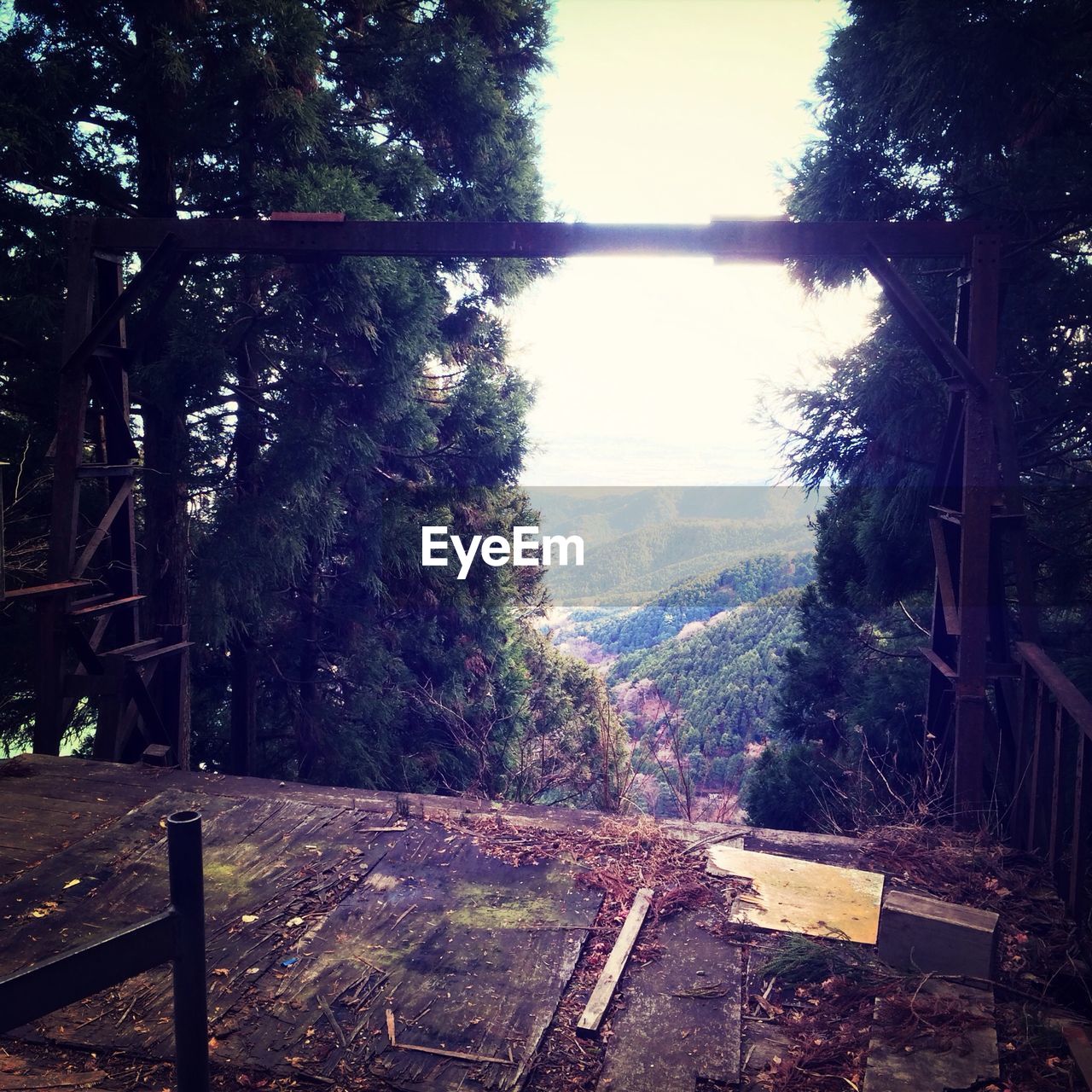 View of forest through broken structure