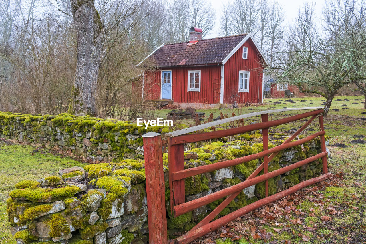 architecture, built structure, plant, building exterior, building, house, tree, nature, cottage, wood, rural area, farm, no people, bare tree, day, residential district, landscape, grass, split-rail fence, land, field, rural scene, outdoors, fence, sky, yard, tranquility, flower, non-urban scene, growth, garden, front or back yard, outdoor structure, green, agricultural building