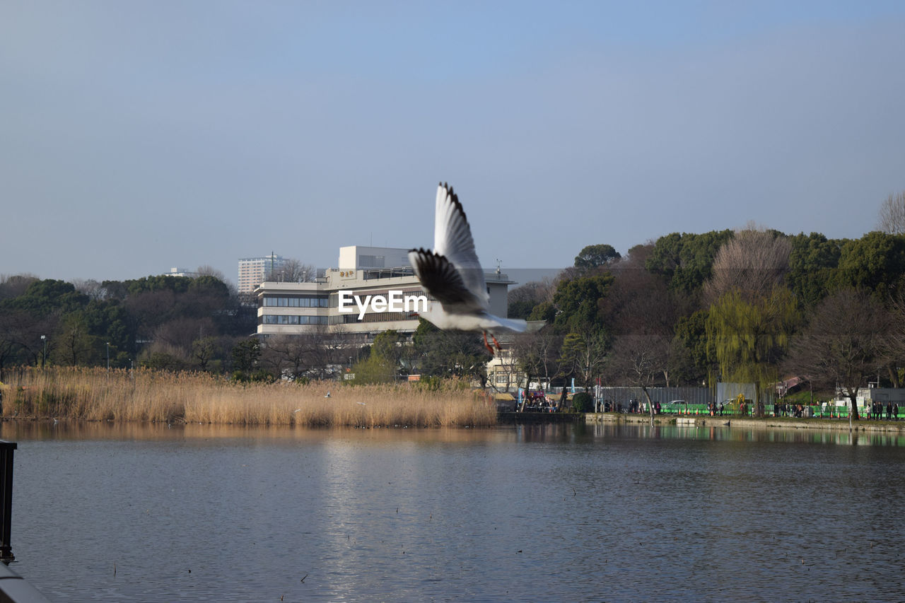 BUILT STRUCTURE WITH TREES IN FOREGROUND