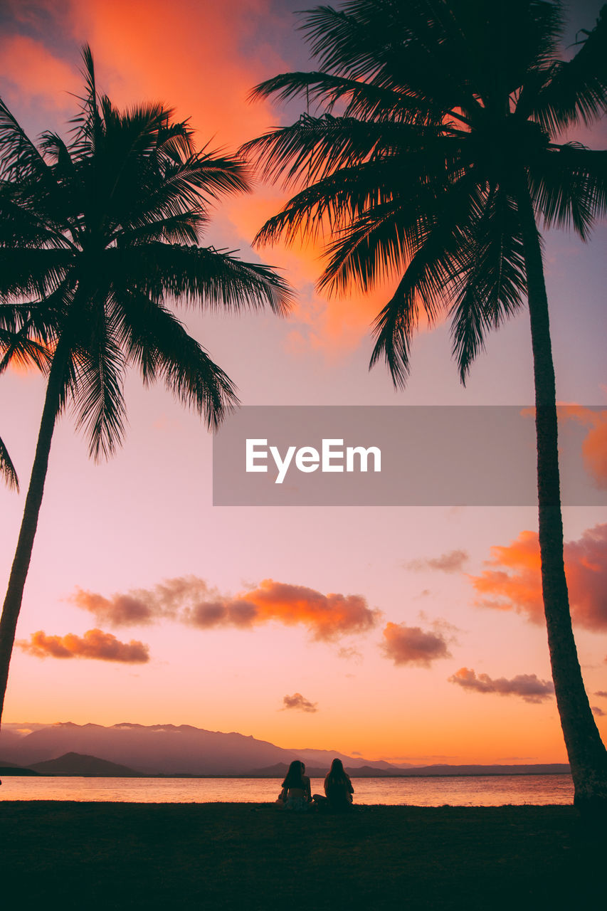 Silhouette palm trees on beach against sky during sunset