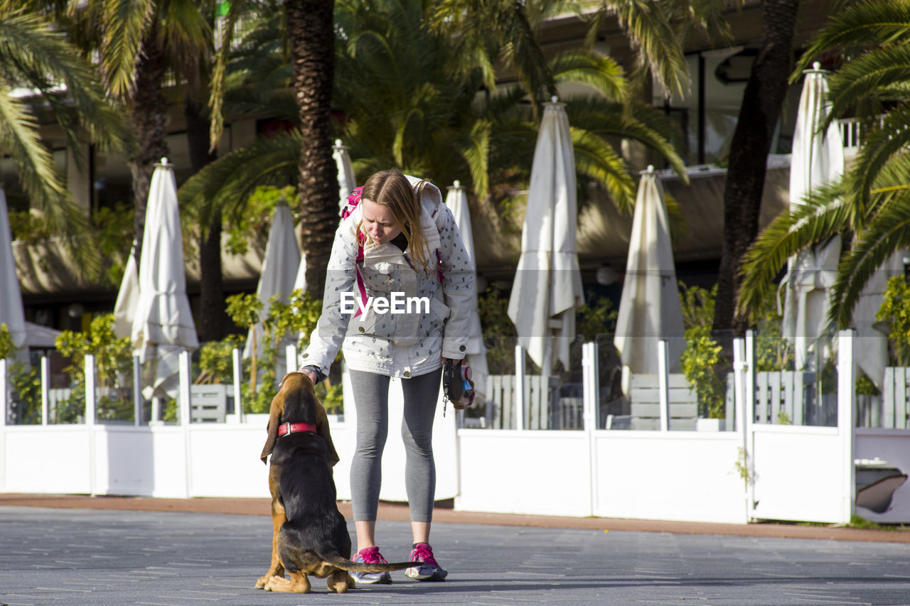 Full length of woman looking at dog while standing against trees on sunny day