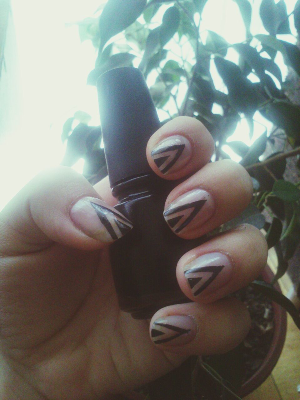 Close-up of woman holding black nail polish