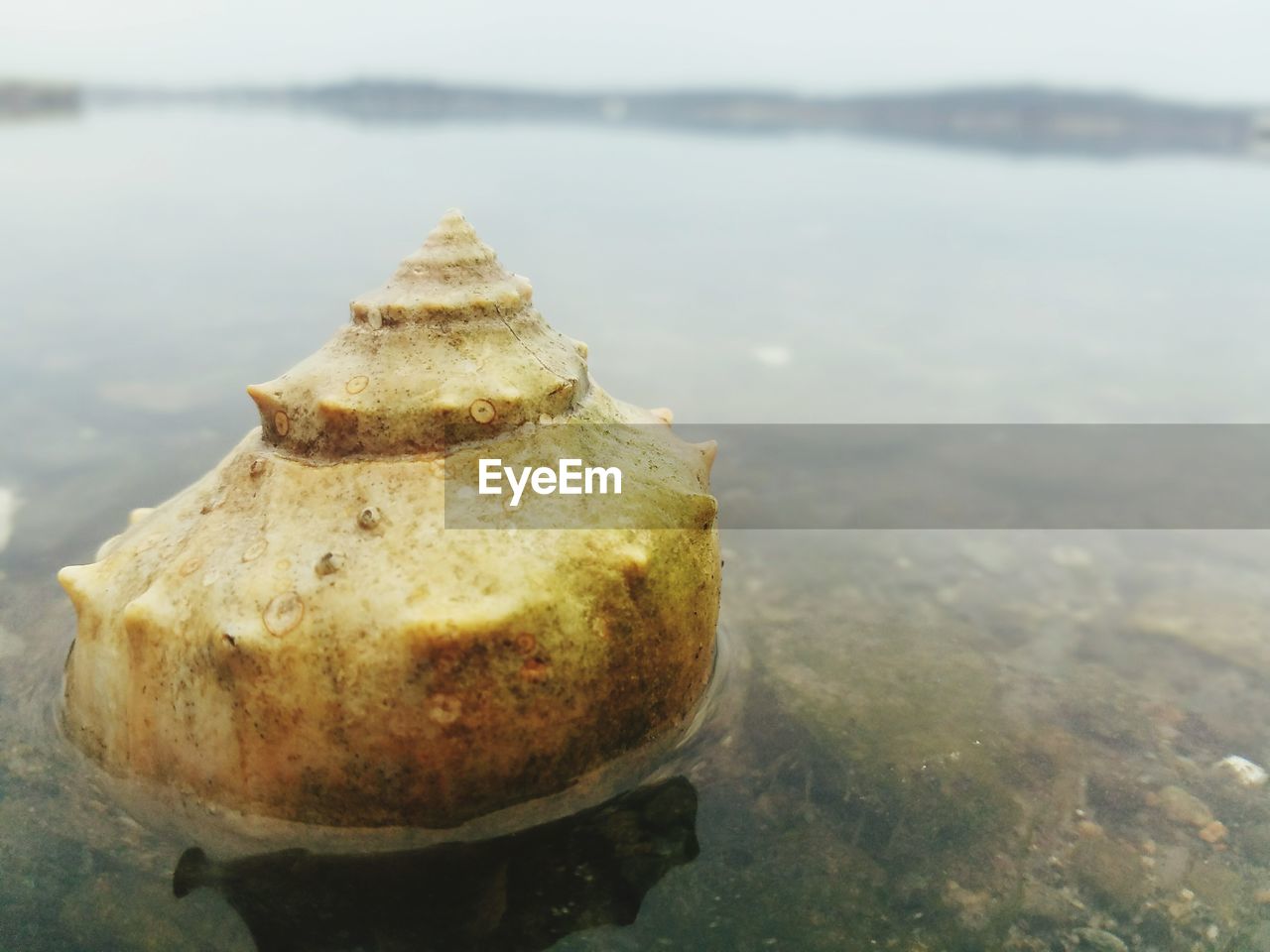 CLOSE-UP OF WATER AGAINST SKY