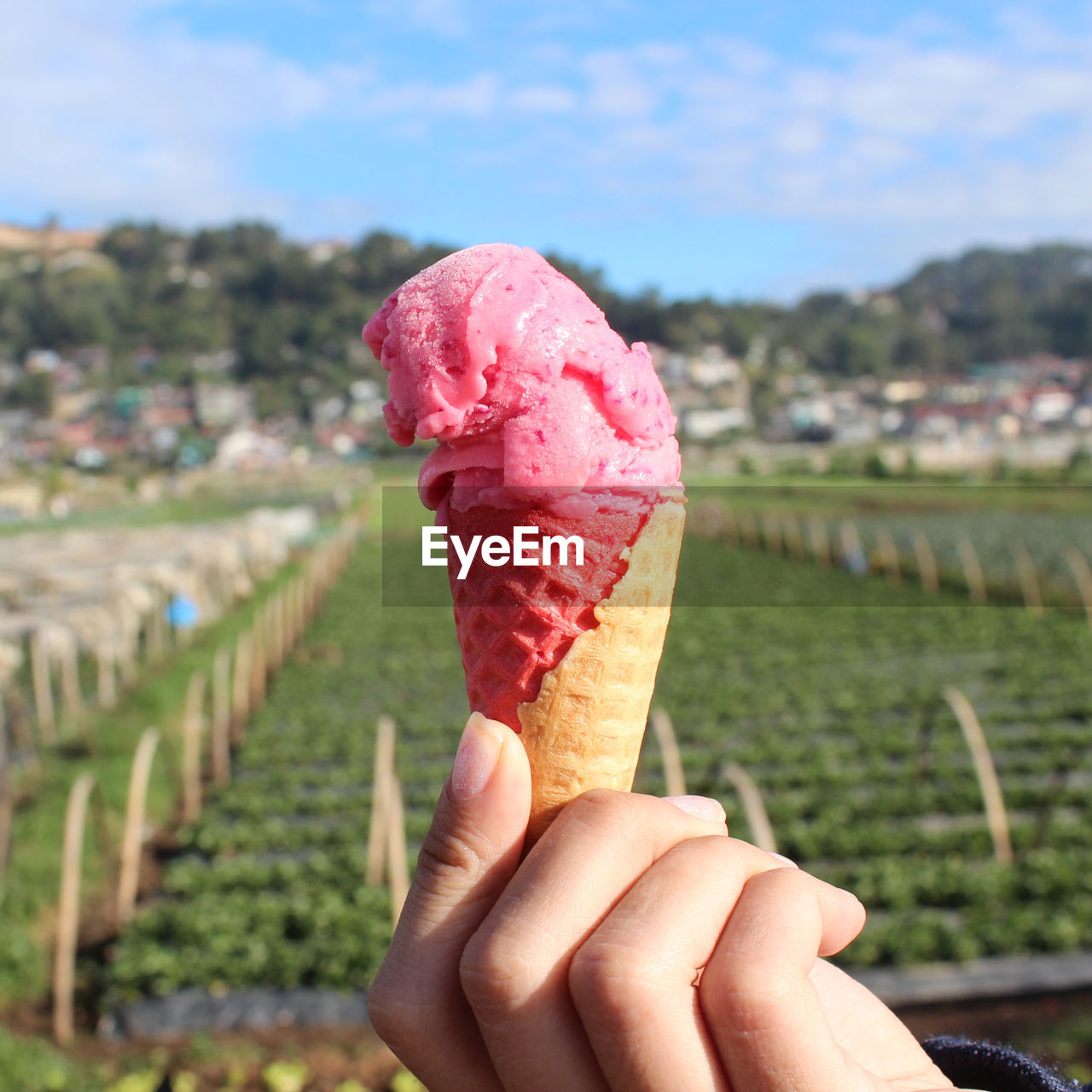 CROPPED IMAGE OF HAND HOLDING ICE CREAM CONE