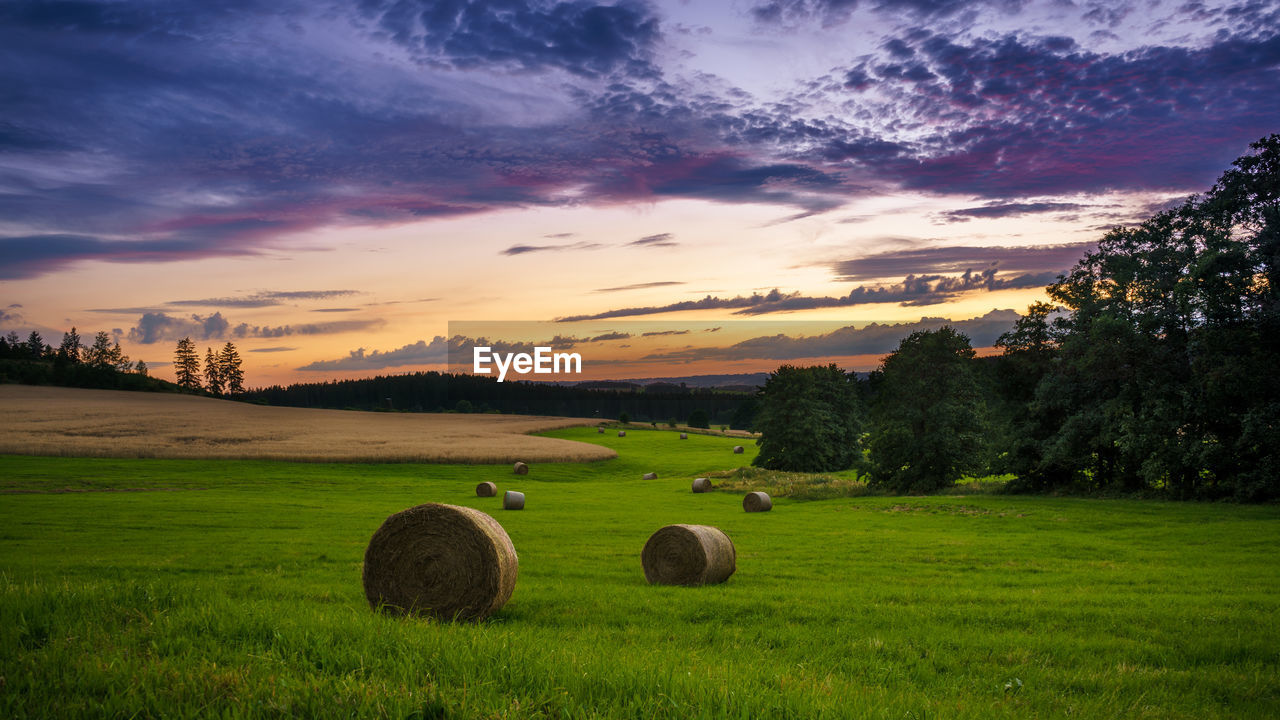 Scenic view of field against cloudy sky