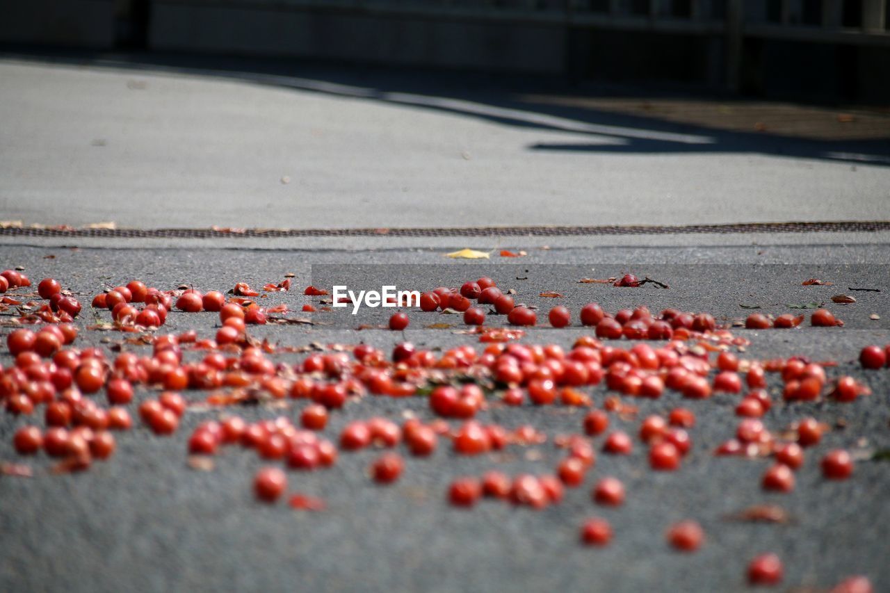 Close-up of plums on road in city