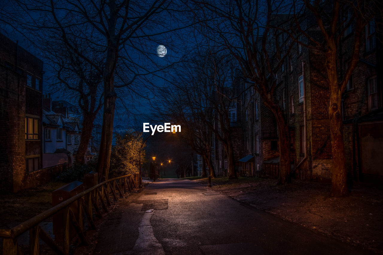 Empty road amidst bare trees in city at night