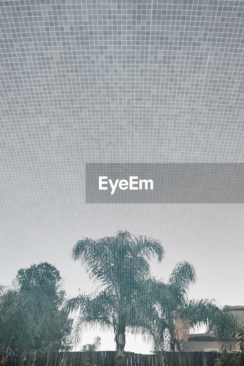 Low angle view of palm trees against sky reflect in pool