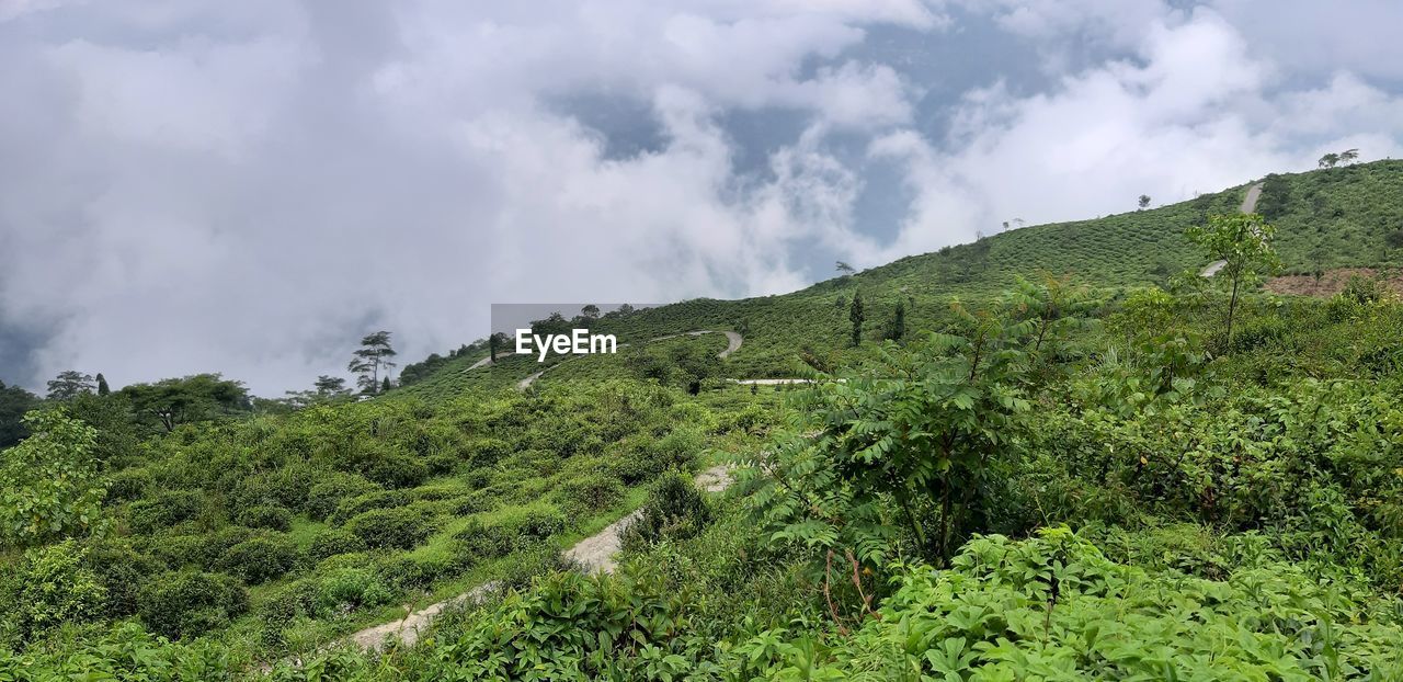 Panoramic view of landscape against sky