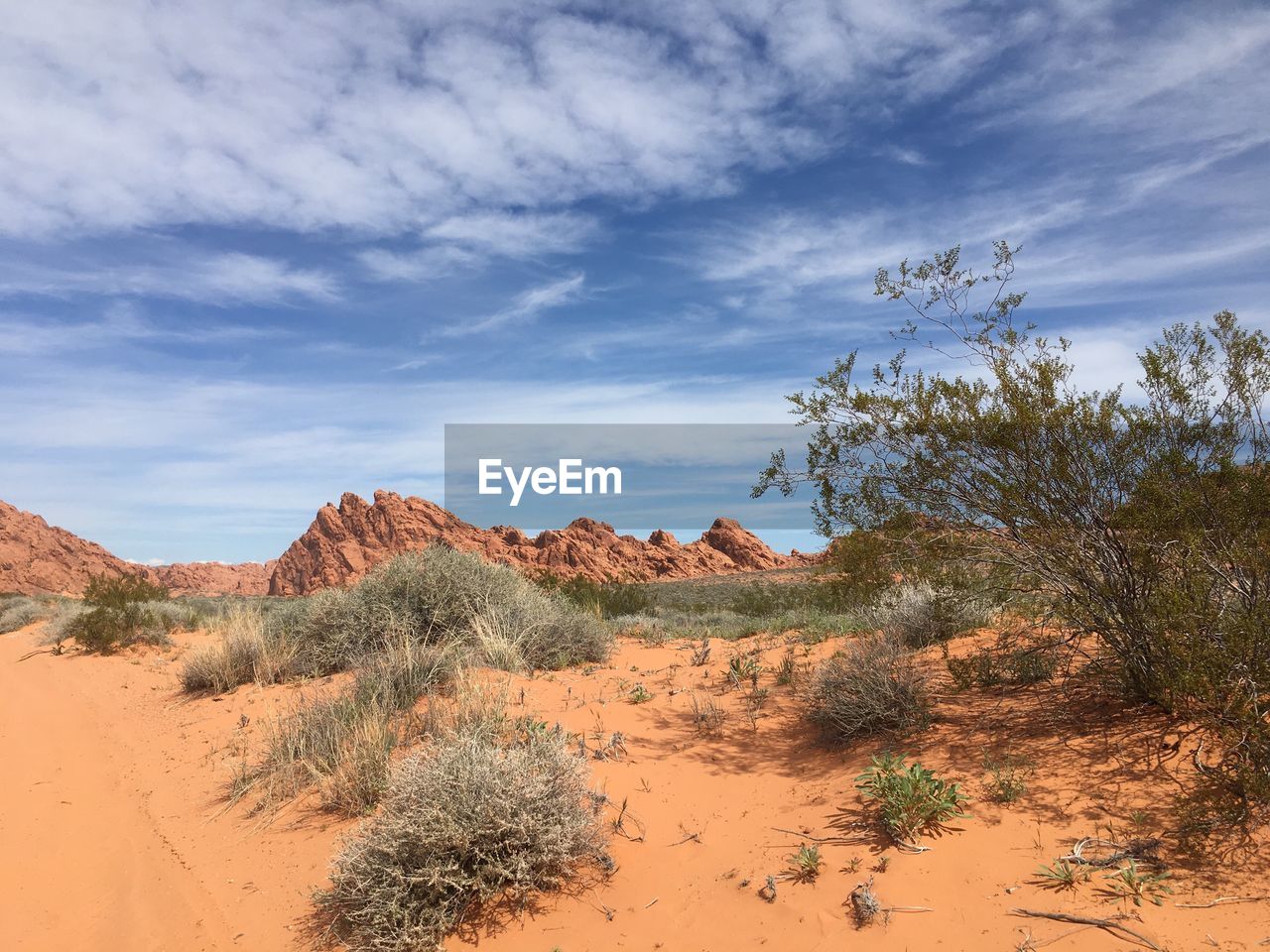 Scenic view of desert against sky