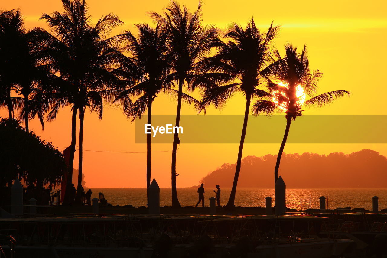 Silhouette palm trees at beach against clear sky during sunset