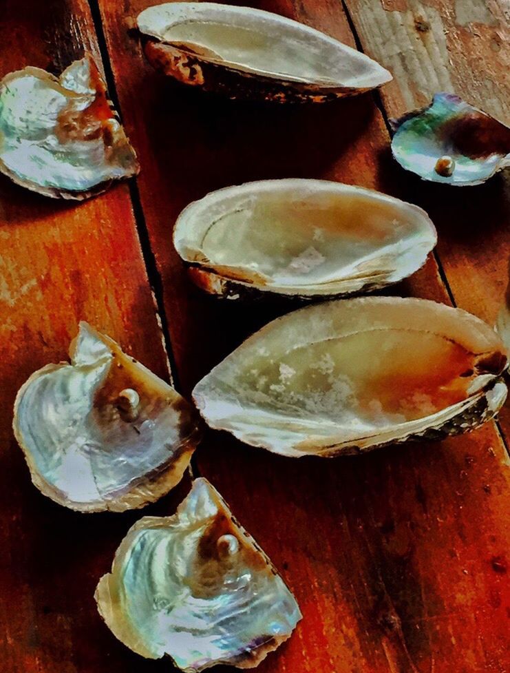 CLOSE-UP OF FOOD ON TABLE