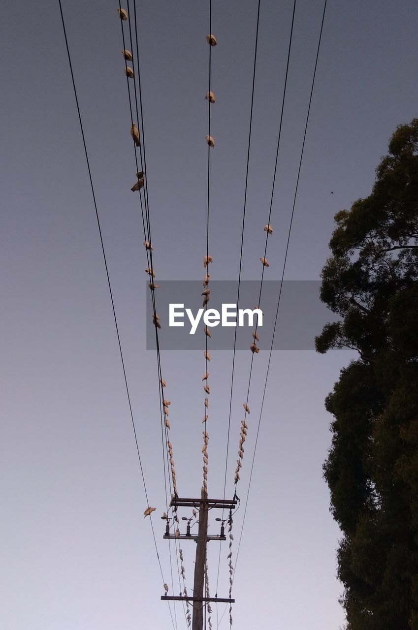 LOW ANGLE VIEW OF ELECTRICITY PYLONS AGAINST SKY