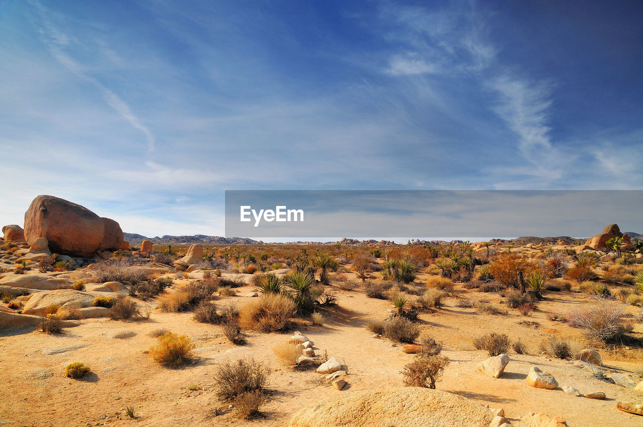 Scenic view of desert against sky