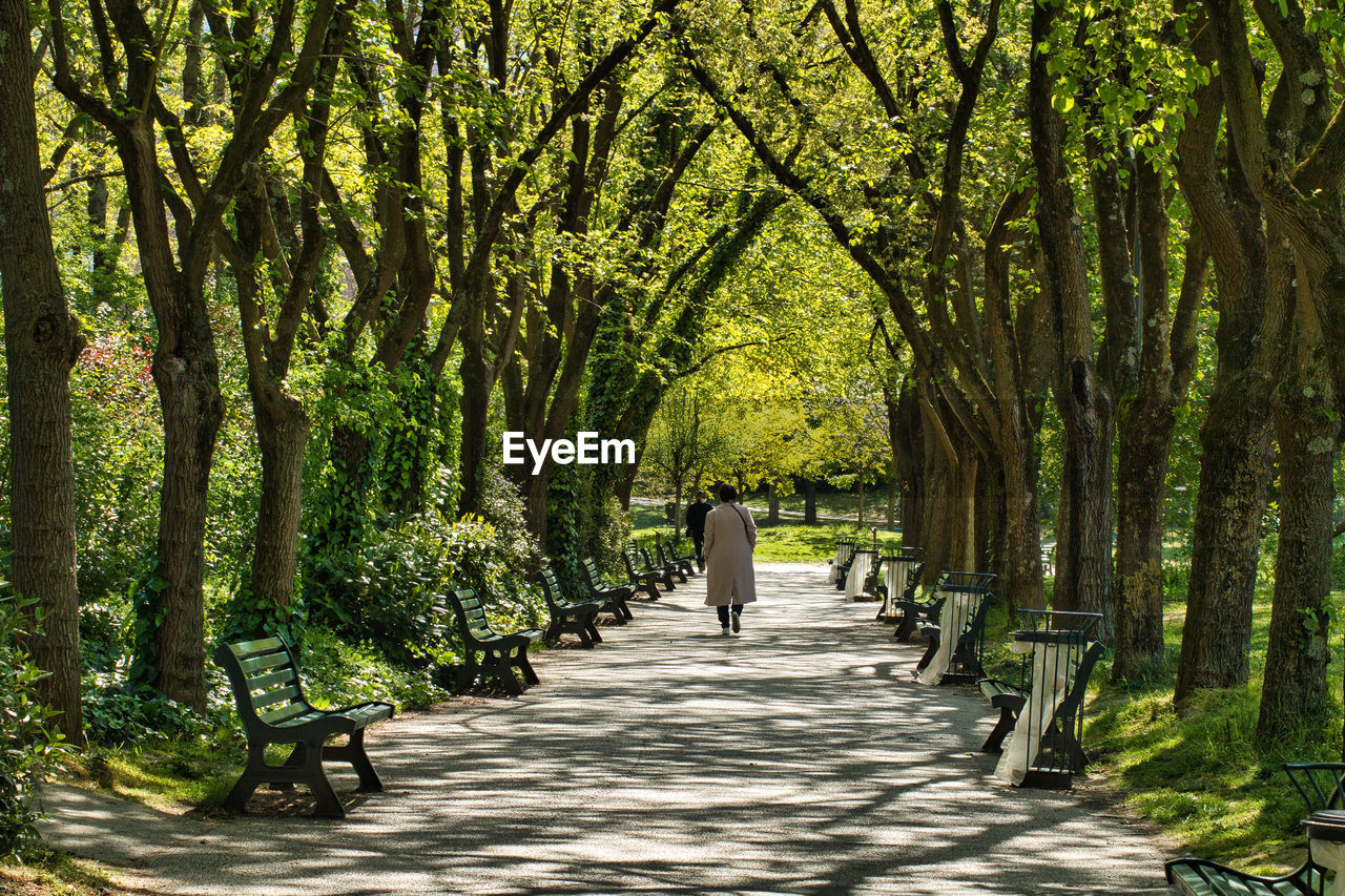 tree, plant, the way forward, leaf, woodland, green, footpath, nature, sunlight, autumn, forest, growth, walking, beauty in nature, park, land, shadow, day, natural environment, diminishing perspective, rear view, outdoors, treelined, tranquility, flower, park - man made space, tree trunk, trunk, garden, full length, leisure activity, scenics - nature, travel, tranquil scene, one person, adult, women, lifestyles, men, vanishing point, transportation, road, environment, branch, foliage, lush foliage, travel destinations, tourism, landscape, non-urban scene