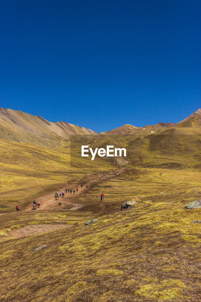 Scenic view of field against clear blue sky