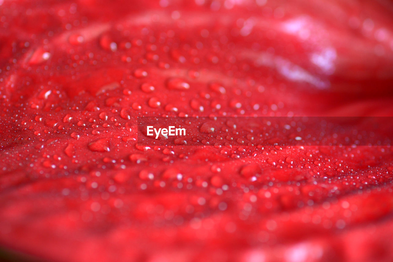 Full frame shot of water drops on red