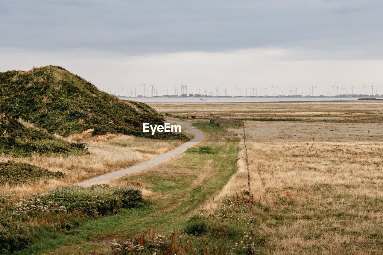 Dune landscape on the north sea beach