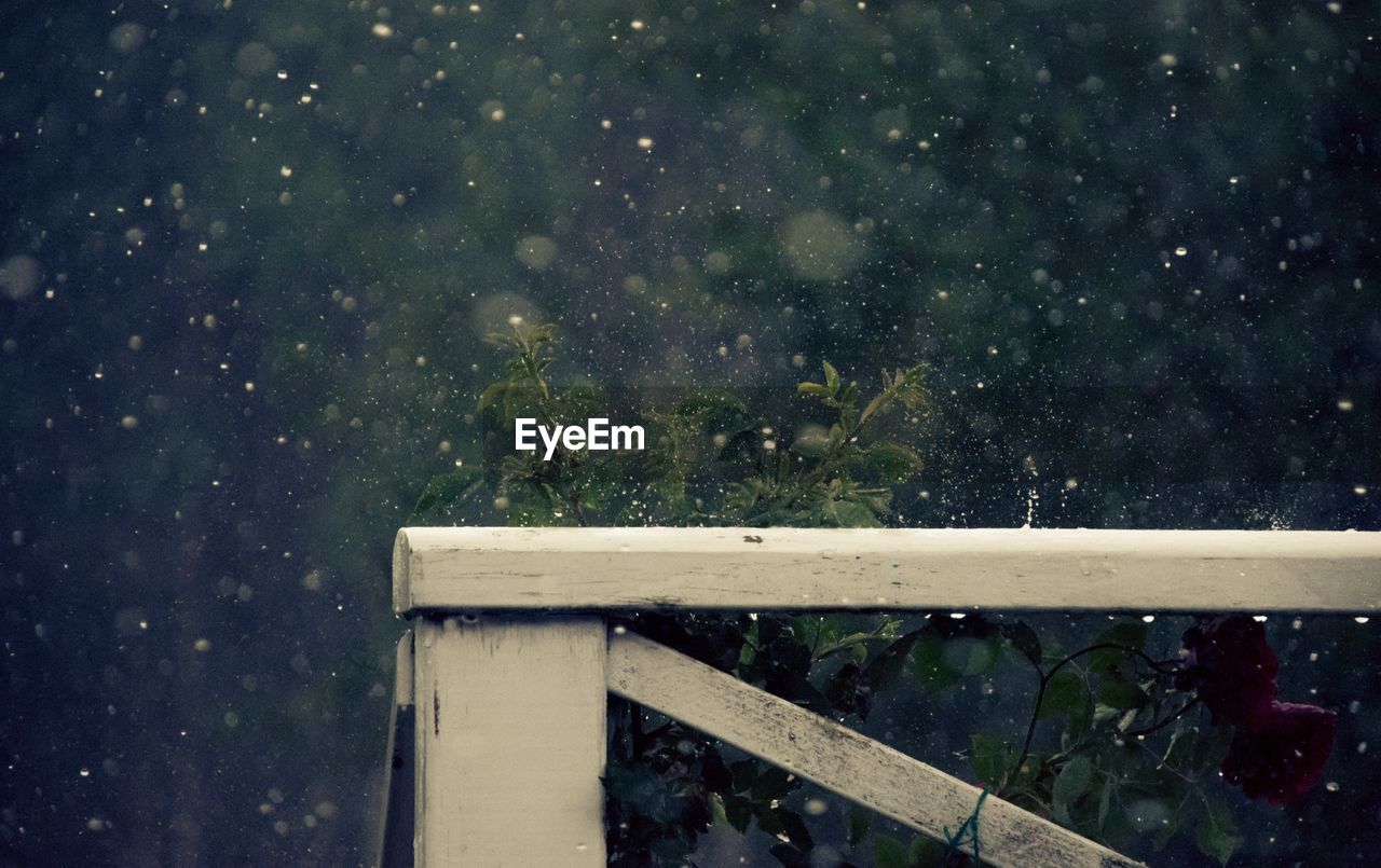 Close-up of cropped wood on a snowy day