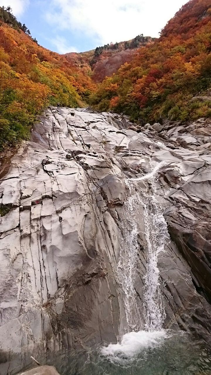 Low angle view of stream flowing through mountain at forest